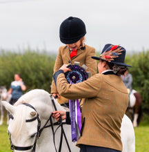 Load image into Gallery viewer, Classique Fedora Hat & Feather Pin