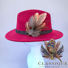 Load image into Gallery viewer, Feather Pins - Cheltenham Ready