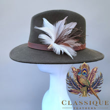 Load image into Gallery viewer, Feather Pins - Cheltenham Ready