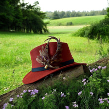Load image into Gallery viewer, Classique Fedora Hat & Feather Pin