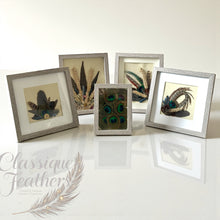 Load image into Gallery viewer, Rustic Feather Box Art