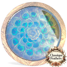 Load image into Gallery viewer, Feathered Reflections – Country Chic Resin Tray