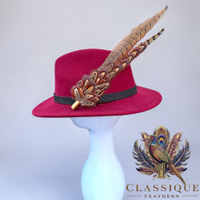 Load image into Gallery viewer, Feather Pins - Cheltenham Ready
