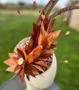 Fascinators