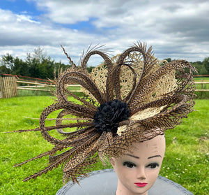 Fascinators