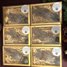 Load image into Gallery viewer, Feathered Friends
