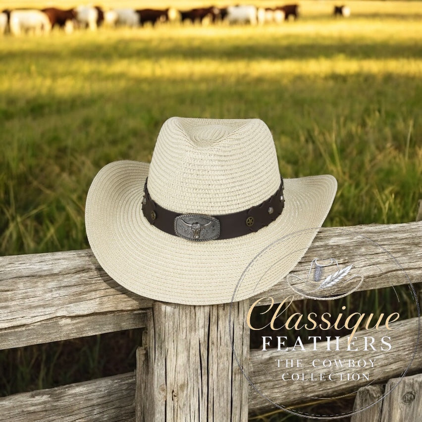 Summer Cowboy