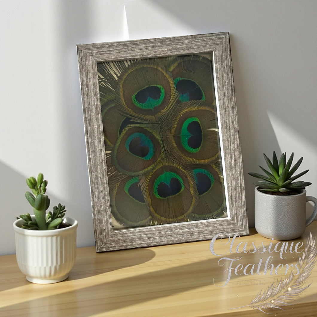 Rustic Feather Box Art