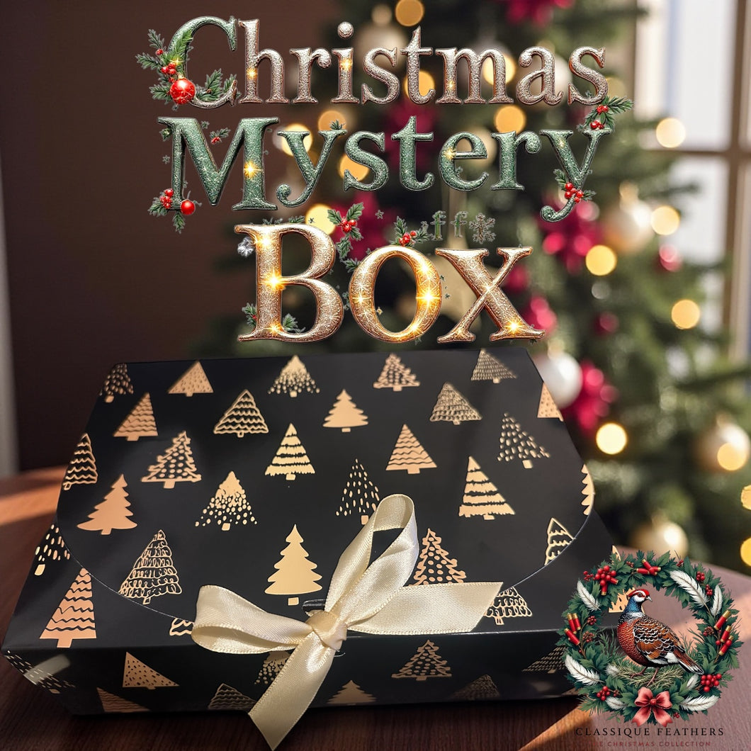 Mystery Gift Box